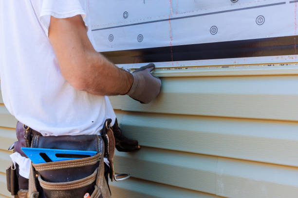 Affordable Siding Repair solutions in Somerville, TN